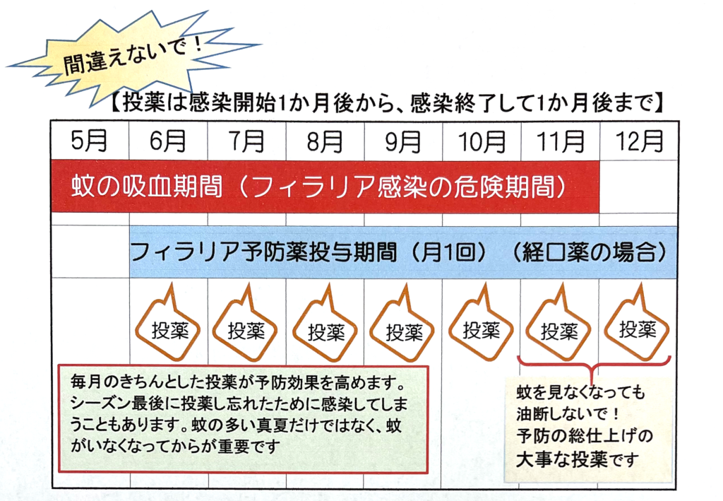 フィラリア予防薬投与期間の図